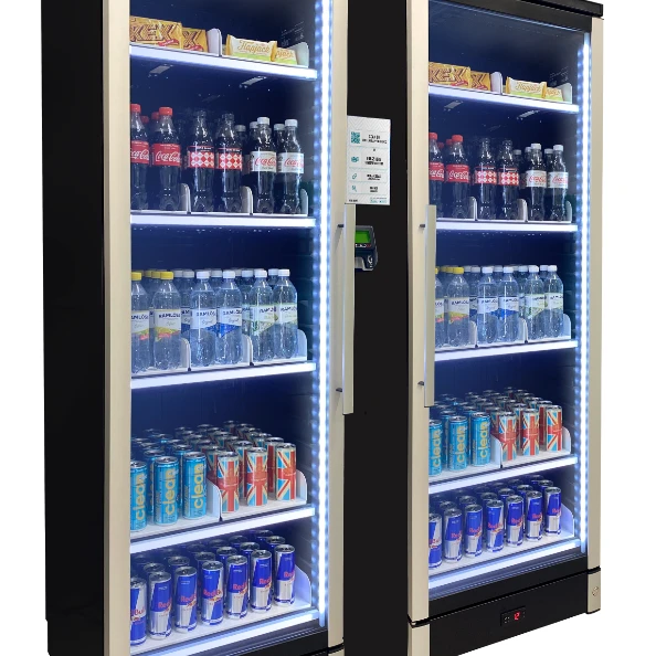 Instant Duo - smart fridge.png